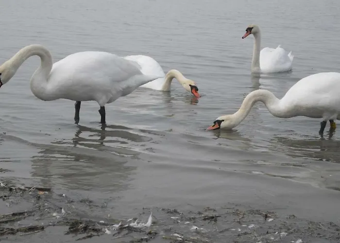 Апартаменты Lovely At *